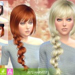 Harvest Hairstyle by Newsea Sims