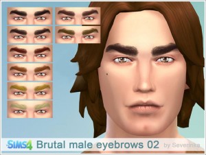 brows02-1