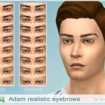 Adam Eyebrows by Severinka