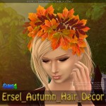 Ersel Autumn Hair Decor by ERSCH Sims
