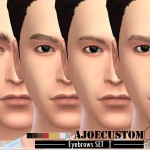 Male Eyebrows set by ajoecustom at TSR
