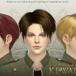 Levi's Hair by Kewai-Dou