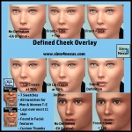 Defined Cheek Overlay -Original Content-