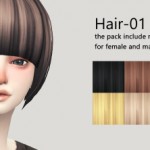 Hair 01 by Imadako