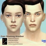 Face Shading Blusher by TIFA Sims