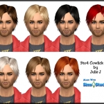 Male Cowlick Hair 3to4 by JulieJ