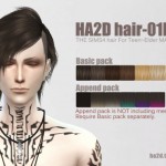 Hair 01M by HA2D
