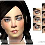 Eyebrow Style 06 by Serpentrogue at TSR