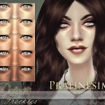 Delicate Freckles by Pralinesims at TSR