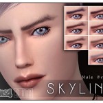 Skyline Male Brows by Screaming Mustard at TSR