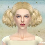 Hair 088 by Butterfly Sims