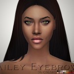Bailey Eyebrows by Ms_Blue at TSR