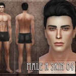 Male Skin R 4 by RemusSirion at TSR