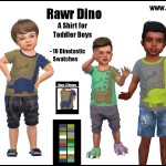 Rawr Dino -A Shirt for Toddler Boys-