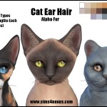 Cat Ear Hair -Original Content-