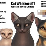 Cat Whiskers01 -Original Content-