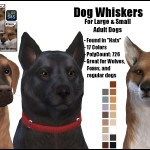 Dog Whiskers -Original Content-