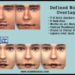 Defined Nose Overlay -Original Content-