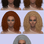 Nouk's Kinky Curly Hair Conversion by MonsterMadness