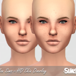 HD Skin Overlay by Nolan Sims