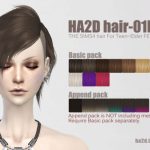 Hair 01F by HA2D