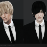 Raonjena Hair 006 Conversion by Black-le