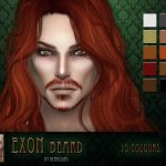 Exon Beard by RemusSirion at TSR