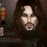 Intron Beard by RemusSirion at TSR