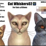 Cat Whiskers02 -Original Content-