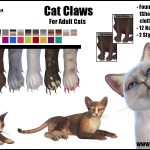 Cat Claws -Original Content-