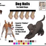 Dog Nails -Original Content-